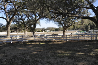 Enlarge photo 73