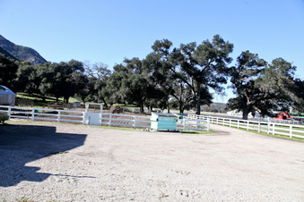 Enlarge photo 9