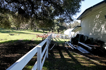 Enlarge photo 11