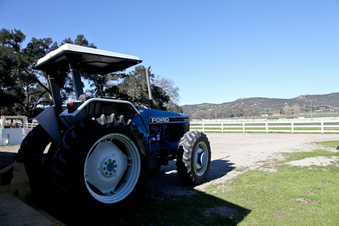 Enlarge photo 12