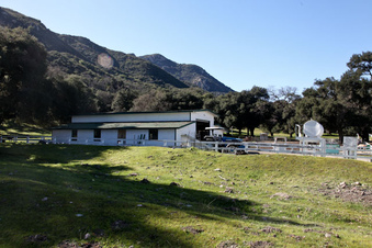 Enlarge photo 13