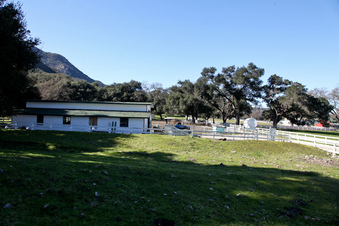 Enlarge photo 15