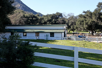 Enlarge photo 17