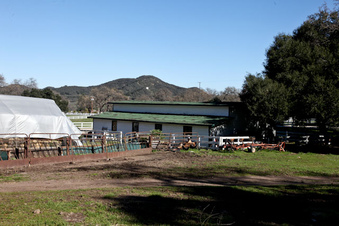 Enlarge photo 20