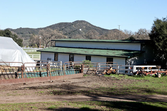 Enlarge photo 21