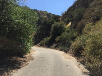 Enlarge photo 3