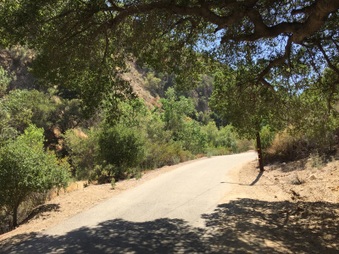 Enlarge photo 8