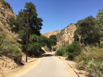 Enlarge photo 9