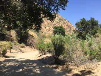 Enlarge photo 12