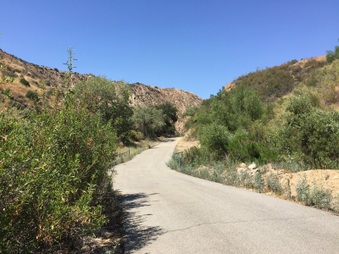 Enlarge photo 16
