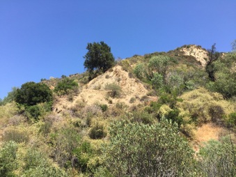 Enlarge photo 17
