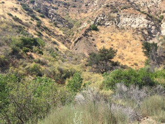 Enlarge photo 21