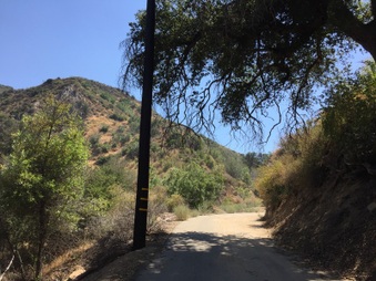 Enlarge photo 23
