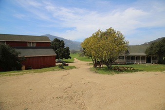 Enlarge photo 12