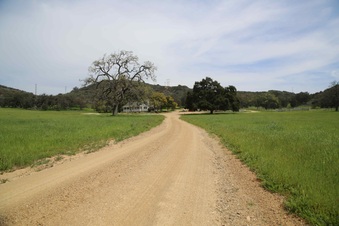 Enlarge photo 129