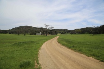 Enlarge photo 134