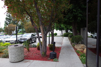 Enlarge photo 9
