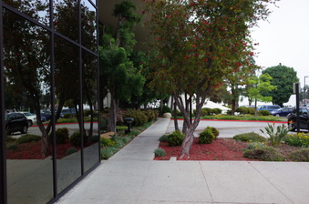 Enlarge photo 10