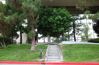 Enlarge photo 75