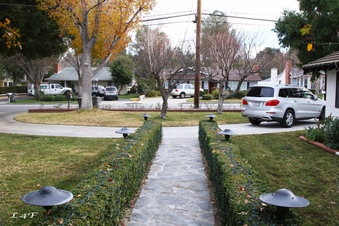 Enlarge photo 20