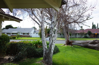 Enlarge photo 4