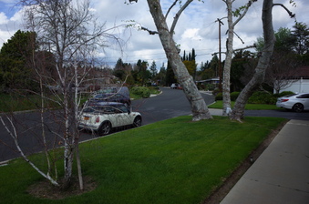 Enlarge photo 51