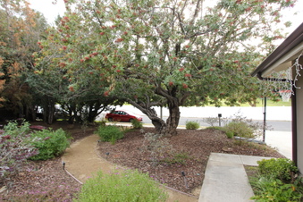 Enlarge photo 8