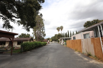 Enlarge photo 51