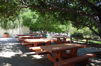 Enlarge photo 9