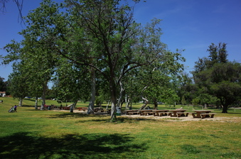 Lunch Area