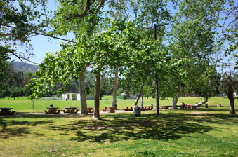 Enlarge photo 7