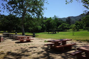 Enlarge photo 9