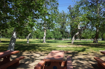 Enlarge photo 15