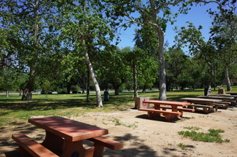 Enlarge photo 16