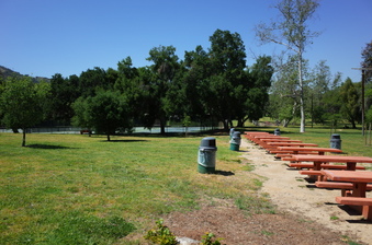 Enlarge photo 29