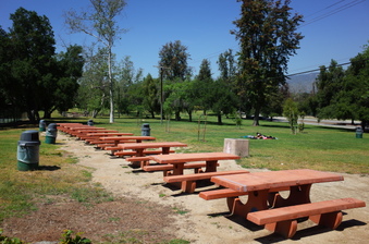 Enlarge photo 30