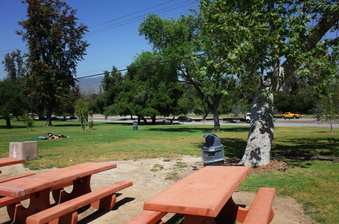 Enlarge photo 31