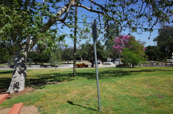 Enlarge photo 32