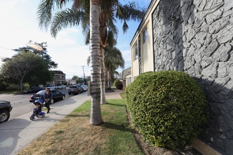 Enlarge photo 12