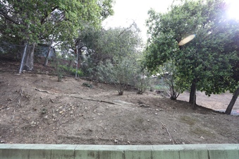 Enlarge photo 64