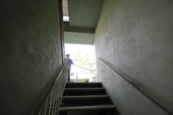 Enlarge photo 43