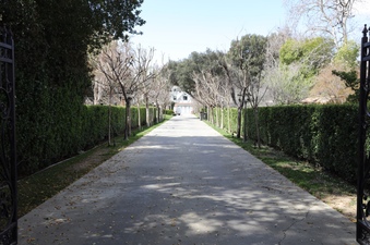 Enlarge photo 97