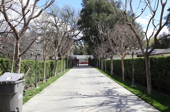 Enlarge photo 88