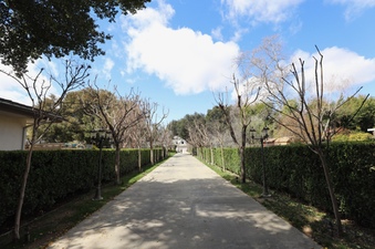Enlarge photo 92