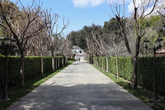 Enlarge photo 93