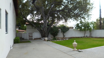 Enlarge photo 41