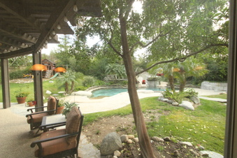 Enlarge photo 41