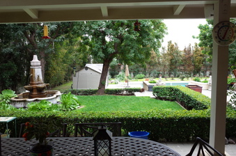 Enlarge photo 57