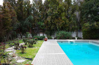 Enlarge photo 65