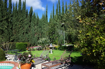 Enlarge photo 59